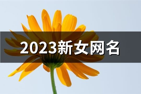 2023新女网名(1033个)