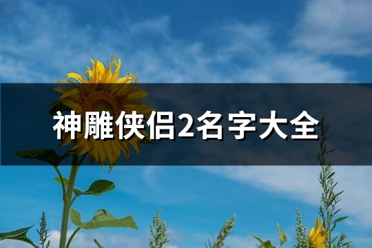 神雕侠侣2名字大全(共179个)