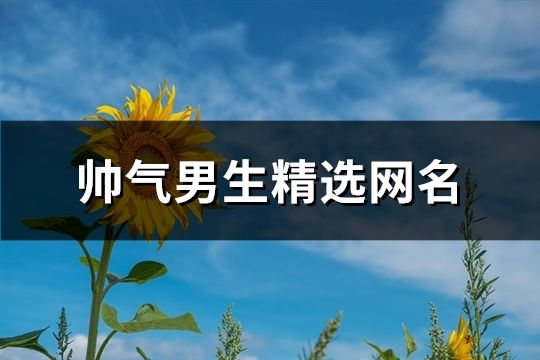 帅气男生精选网名(770个)