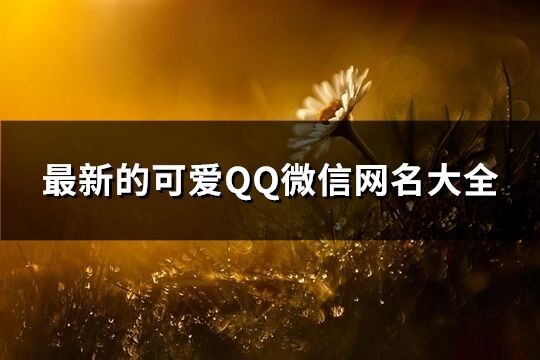 最新的可爱QQ微信网名大全(精选290个)