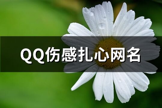 QQ伤感扎心网名(共506个)