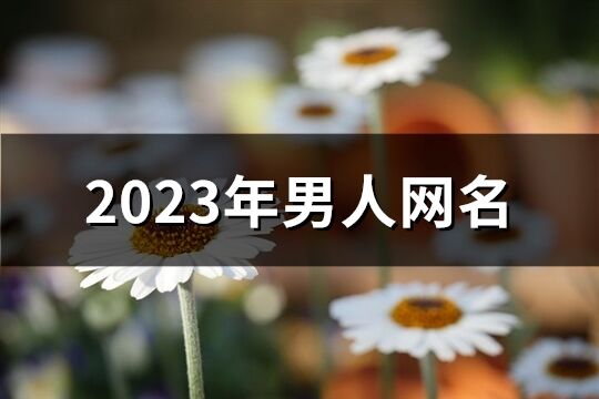 2023年男人网名(共756个)