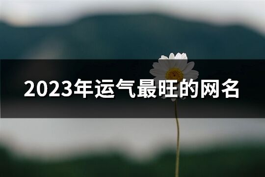 2023年运气最旺的网名(优选1097个)