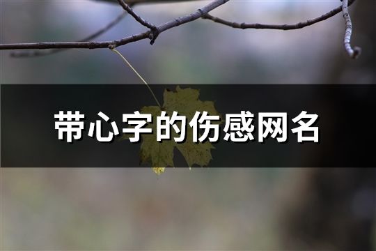 带心字的伤感网名(共328个)