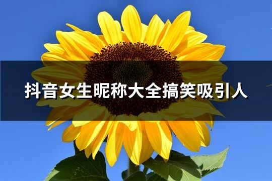 抖音女生昵称大全搞笑吸引人(精选210个)