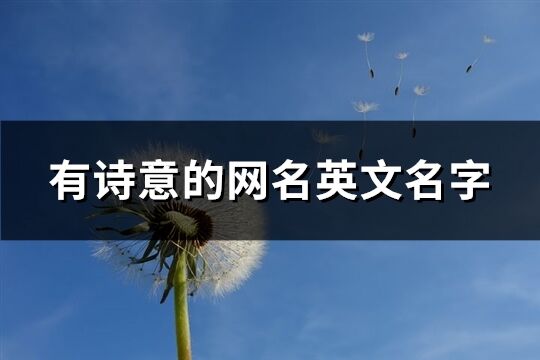 有诗意的网名英文名字(共107个)