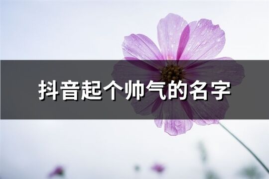 抖音起个帅气的名字(共384个)