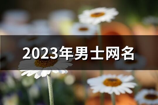 2023年男士网名(精选1278个)