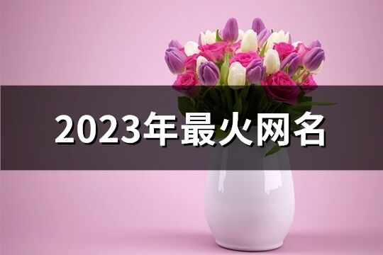 2023年最火网名(共927个)