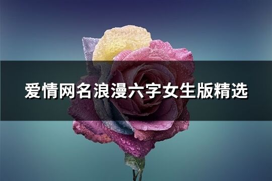 爱情网名浪漫六字女生版精选(380个)