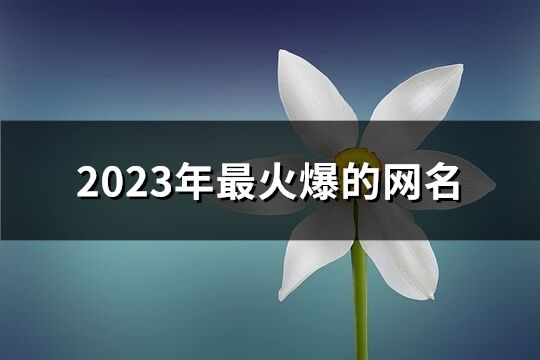 2023年最火爆的网名(精选885个)