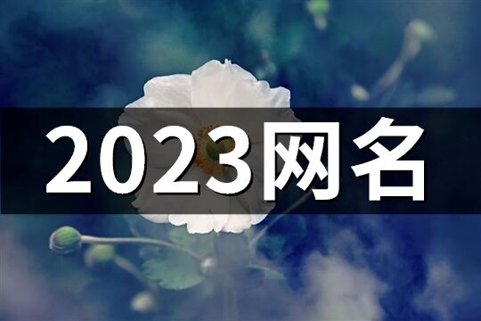 2023网名(共1333个)