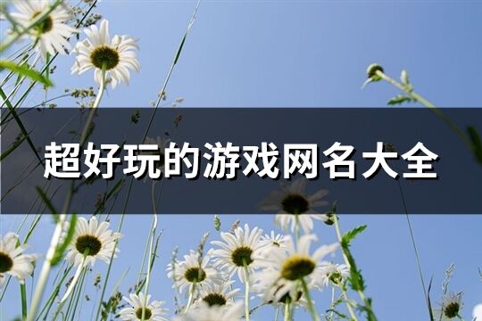 超好玩的游戏网名大全(758个)