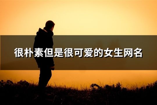 很朴素但是很可爱的女生网名(485个)