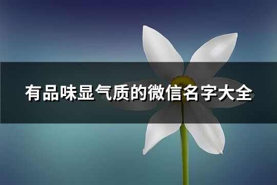 有品味显气质的微信名字大全(1464个)