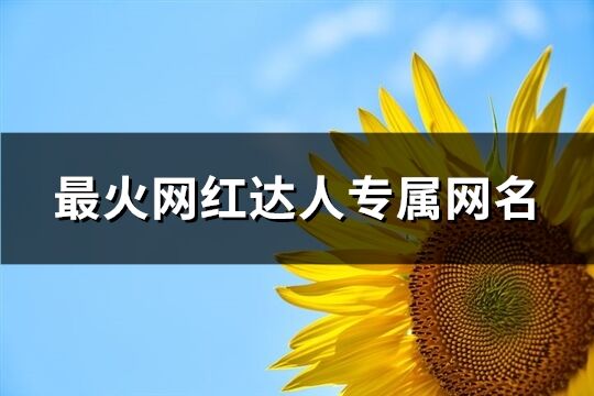 最火网红达人专属网名(共363个)