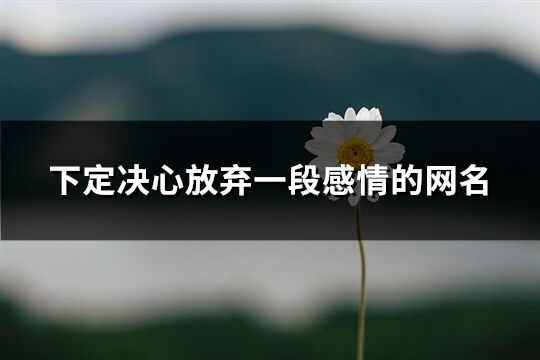 下定决心放弃一段感情的网名(精选165个)