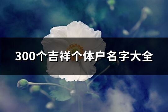 300个吉祥个体户名字大全(117个)