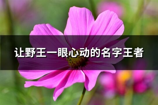 让野王一眼心动的名字王者(精选98个)