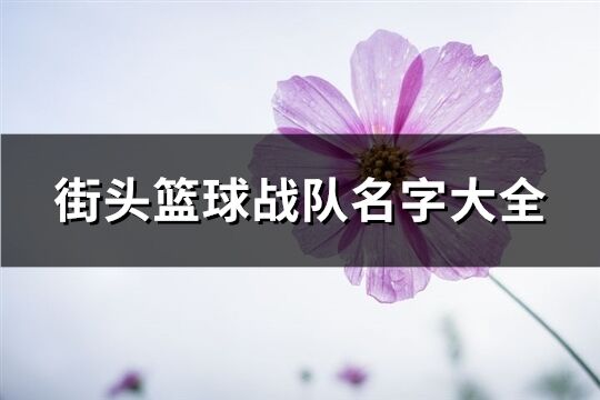 街头篮球战队名字大全(184个)