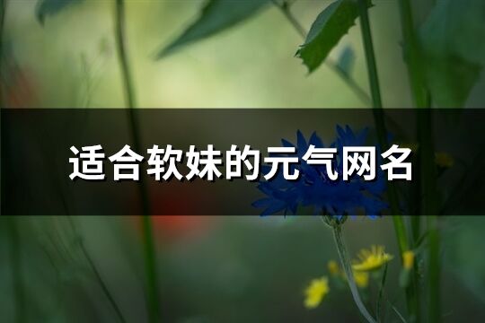 适合软妹的元气网名(共182个)