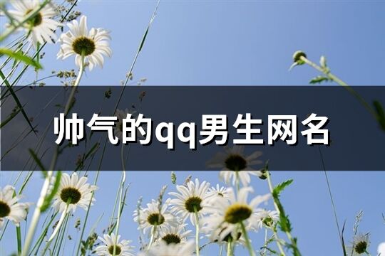 帅气的qq男生网名(共212个)