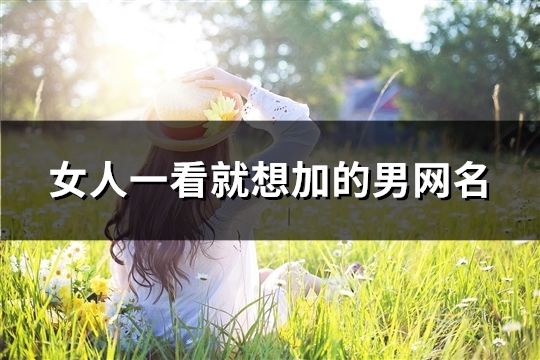 女人一看就想加的男网名(310个)