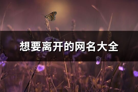 想要离开的网名大全(共67个)