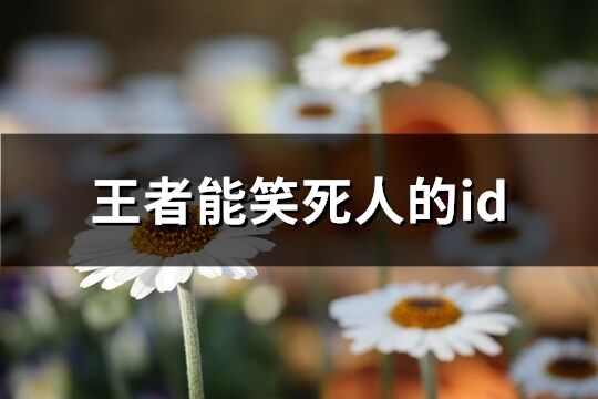 王者能笑死人的id(共311个)