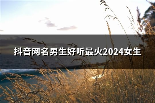 抖音网名男生好听最火2024女生(177个)