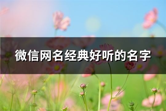 微信网名经典好听的名字(精选199个)