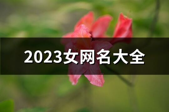 2023女网名大全(精选1144个)