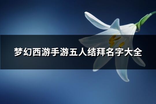 梦幻西游手游五人结拜名字大全(128个)