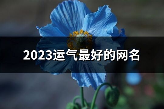 2023运气最好的网名(849个)