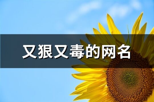 又狠又毒的网名(优选100个)