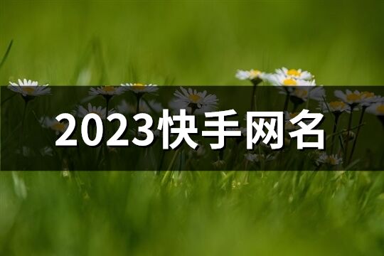 2023快手网名(共557个)