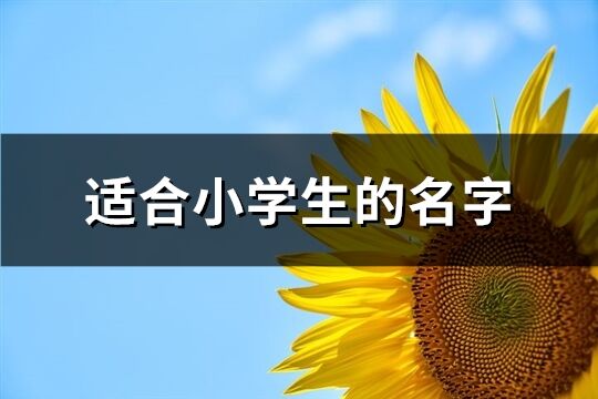 适合小学生的名字(共275个)