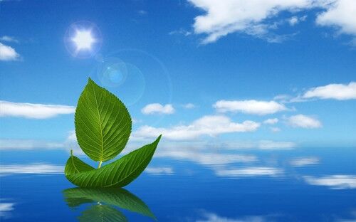 冷门但有寓意的名字(共99个) 冷门但有寓意的名字(共99个)