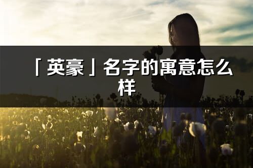 「英豪」名字的寓意怎么样_英豪的出处