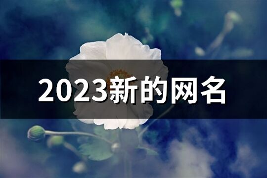 2023新的网名(精选939个)