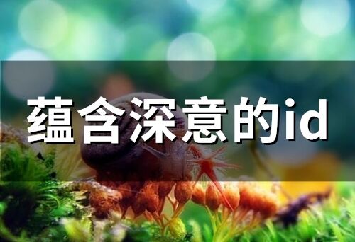 蕴含深意的id(精选210个)