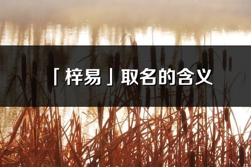 「梓易」取名的含义