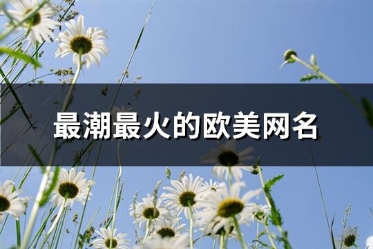 最潮最火的欧美网名(精选141个)