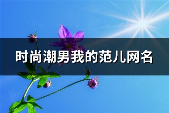 时尚潮男我的范儿网名(共1341个)