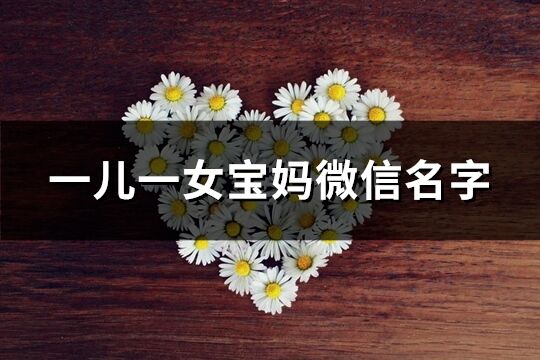 一儿一女宝妈微信名字(共118个)