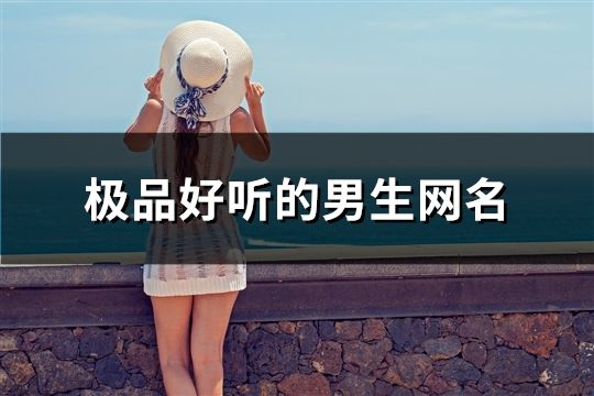 极品好听的男生网名(精选173个)