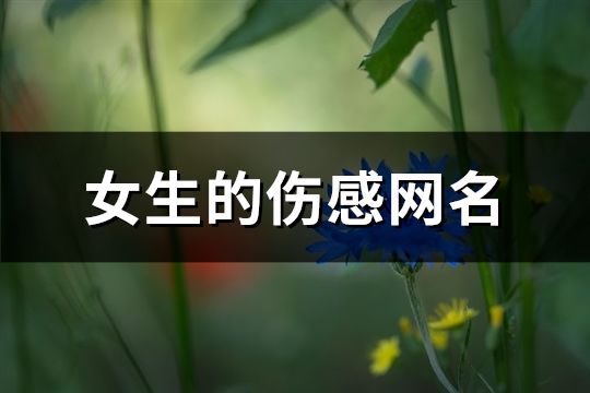 女生的伤感网名(691个)