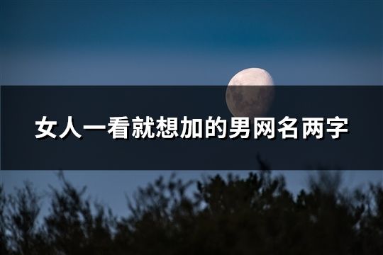 女人一看就想加的男网名两字(共1261个)