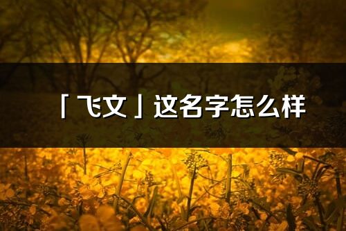 「飞文」这名字怎么样