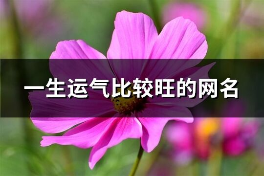 一生运气比较旺的网名(精选465个)